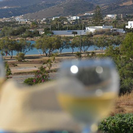 Thalasea - Village Antiparos Town エクステリア 写真