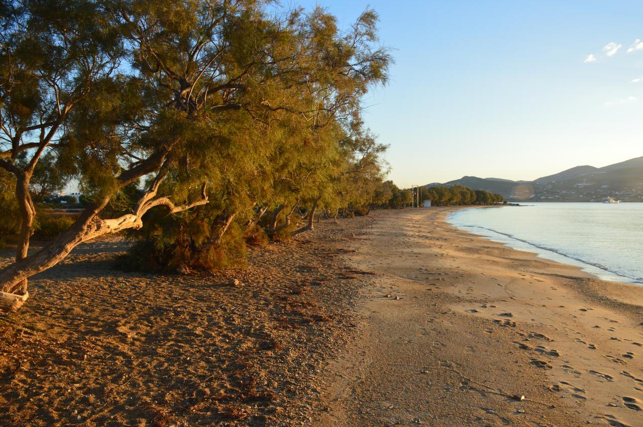 Thalasea - Village Antiparos Town エクステリア 写真
